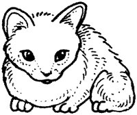 ACT50049.TIF