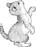 ACT50048.TIF