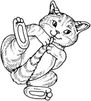 ACT50047.TIF