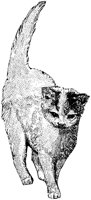 ACT50040.TIF