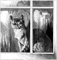 ACT50039.TIF