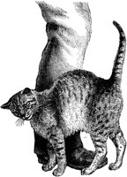 ACT50028.TIF