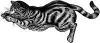ACT50019.TIF