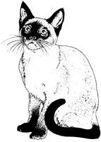 ACT50015.TIF
