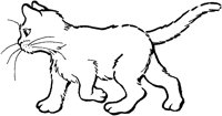 ACT50012.TIF