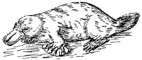 ADK50005.JPG