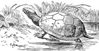 ADJ50088.JPG