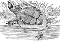 ADJ50087.JPG