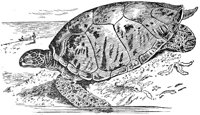 ADJ50086.JPG