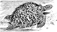 ADJ50085.JPG