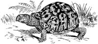 ADJ50083.JPG