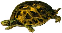 ADJ50076.JPG