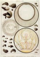 ADJ50074.JPG