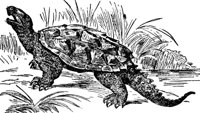 ADJ50070.JPG