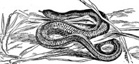 ADI50143.JPG