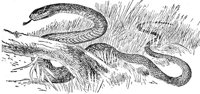 ADI50142.JPG