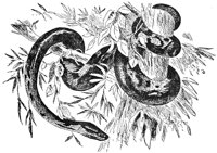 ADI50139.JPG