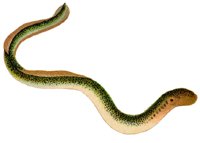 ADI50126.JPG