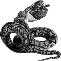 ADI50019.TIF