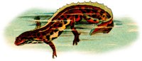 ADH50007.JPG