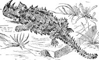 ADG50135.JPG