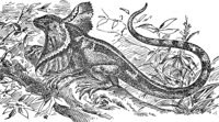 ADG50134.JPG
