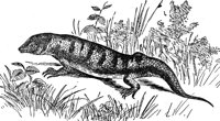 ADG50131.JPG