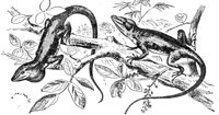 ADG50125.JPG