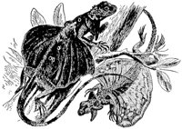 ADG50122.JPG