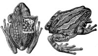 ADF50108.JPG