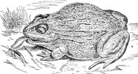 ADF50101.JPG