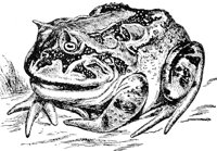 ADF50099.JPG