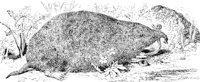 AEZ50104.JPG