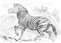 AEY50031.JPG