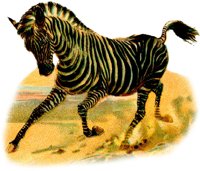 AEY50025.JPG