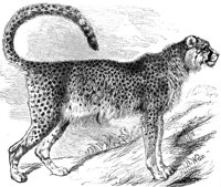AEX50278.JPG