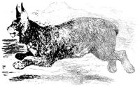 AEX50277.JPG