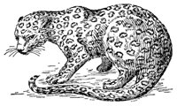 AEX50275.JPG