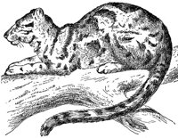 AEX50272.JPG
