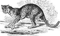 AEX50271.JPG