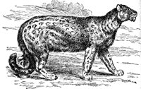 AEX50270.JPG