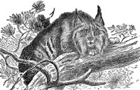 AEX50268.JPG