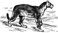 AEX50266.JPG