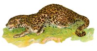 AEX50239.JPG