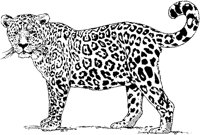 AEX50016.TIF