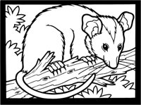 AEV50069.TIF