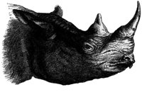 AEU50028.JPG
