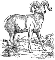 AET50024.JPG