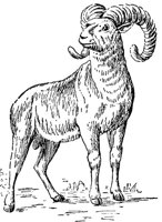 AET50023.JPG