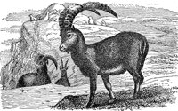 AET50018.JPG